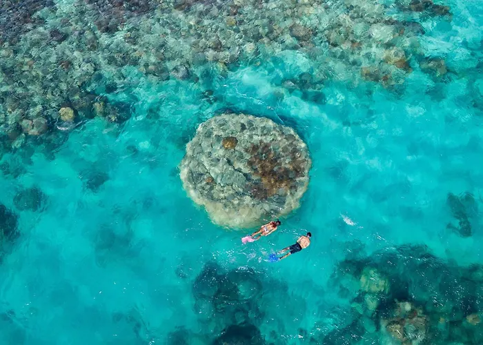 Shingley Beach Resort - Whitsundays